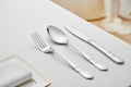 Cubertería para Hotel – Acero Inoxidable 18/10 Set 24 piezas